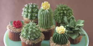 o-cactus-cupcakes-facebook.jpg